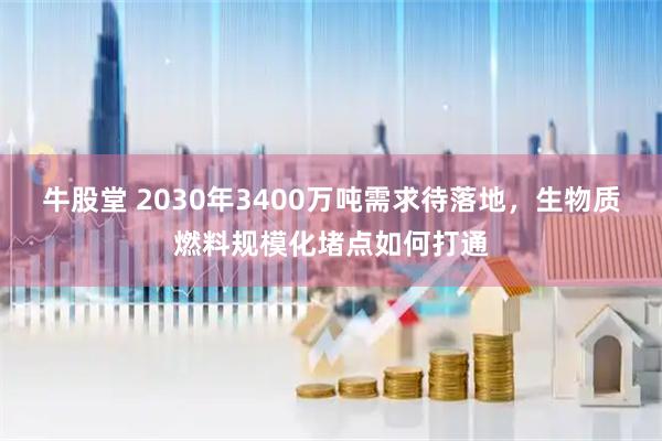 牛股堂 2030年3400万吨需求待落地，生物质燃料规模化堵点如何打通